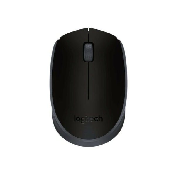 Logitech M171 Souris Sans Fil Ambidextre