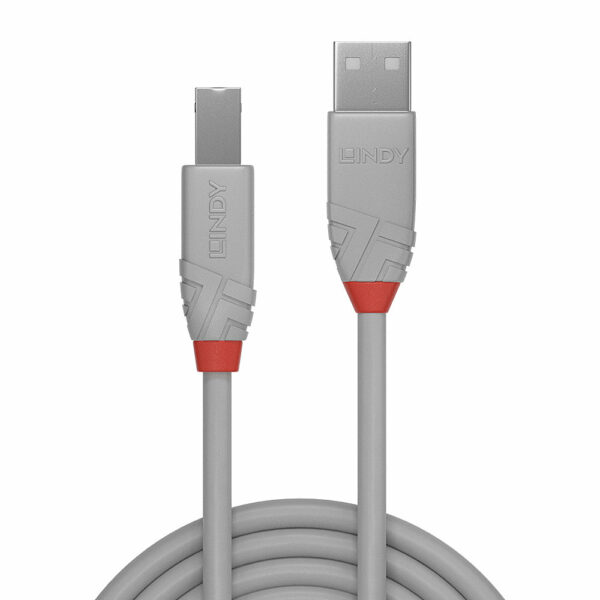 Cable USB 2.0 type A vers B 2m – Image 2