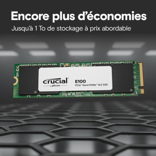 CRUCIAL E100 480G Gen4 2280 Tray – Image 3